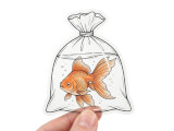 Transparent klistermärke med guldfisk-illustration mot vit bakgrund