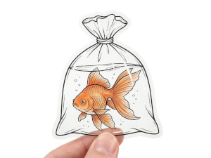 Transparent klistermärke med guldfisk-illustration mot vit bakgrund